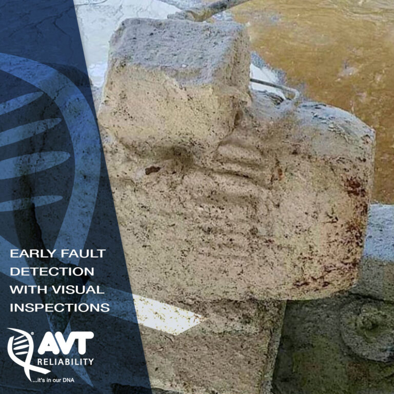 Visual Inspections & Asset Reliability